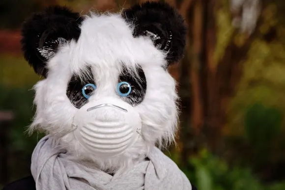 SpinShake Kazino Atbalsts